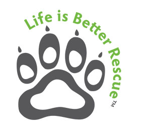 Life is Better Logo